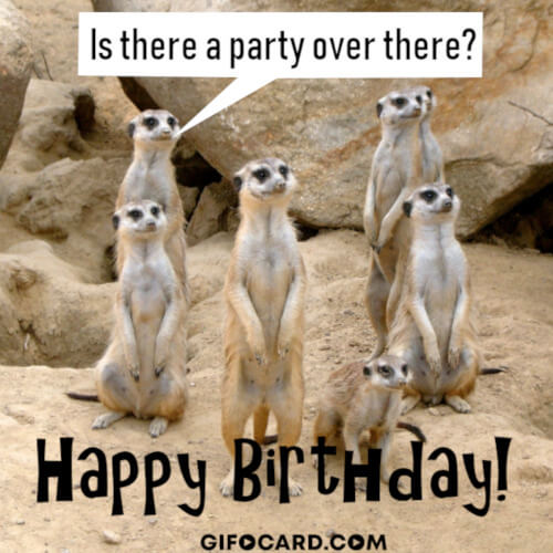 Happy Birthday